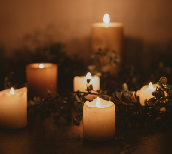 photo of lit candles illuminating plants around them